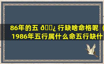 86年的五 🌿 行缺啥命格呢（1986年五行属什么命五行缺什么）